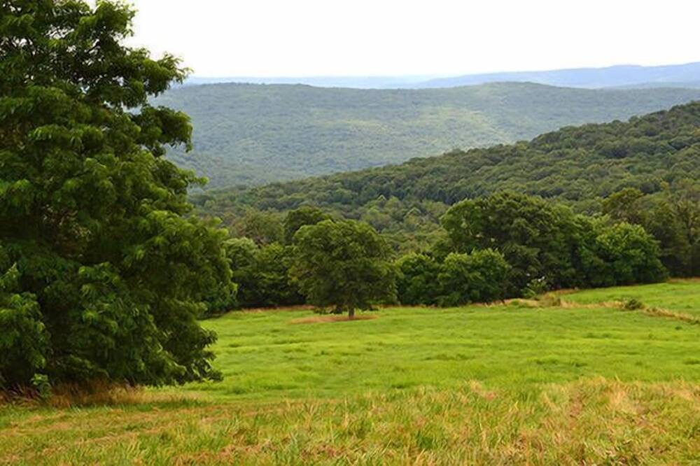 Photo of Outdoor in West Fork