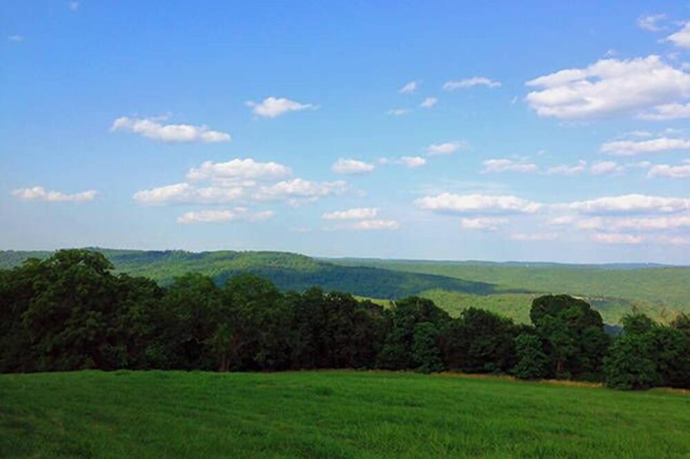 Photo of Others in West Fork