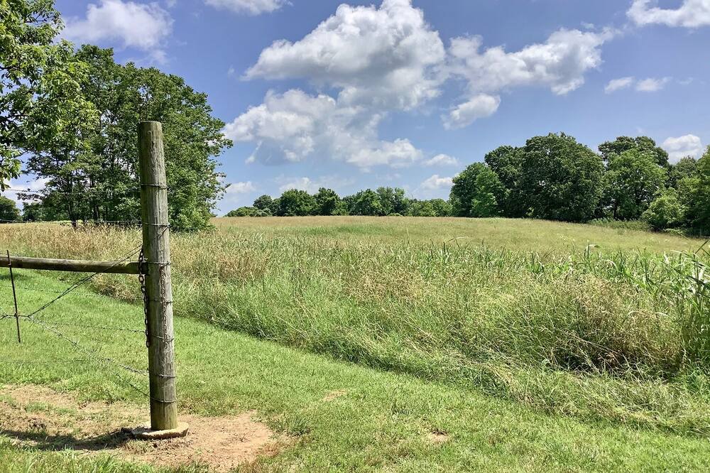 Photo of Outdoor in West Fork