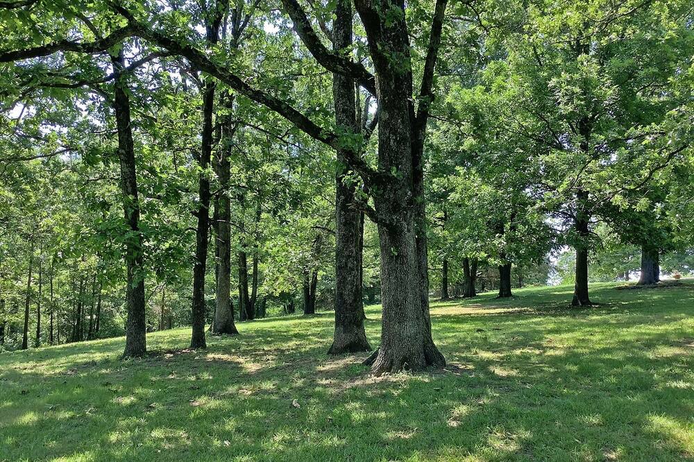 Photo of Outdoor in West Fork