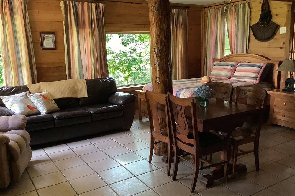 Photo of Livingroom in West Fork