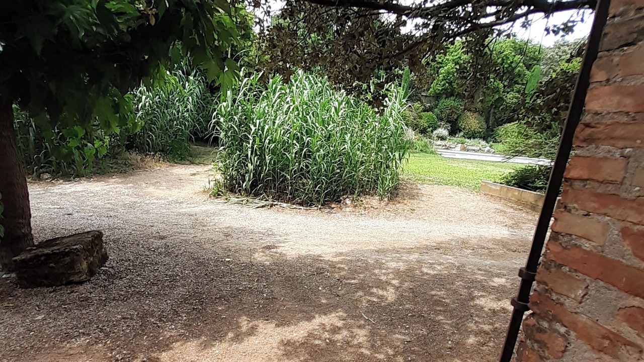 Photo of Outdoor in Saint-Maximin-la-Sainte-Baume