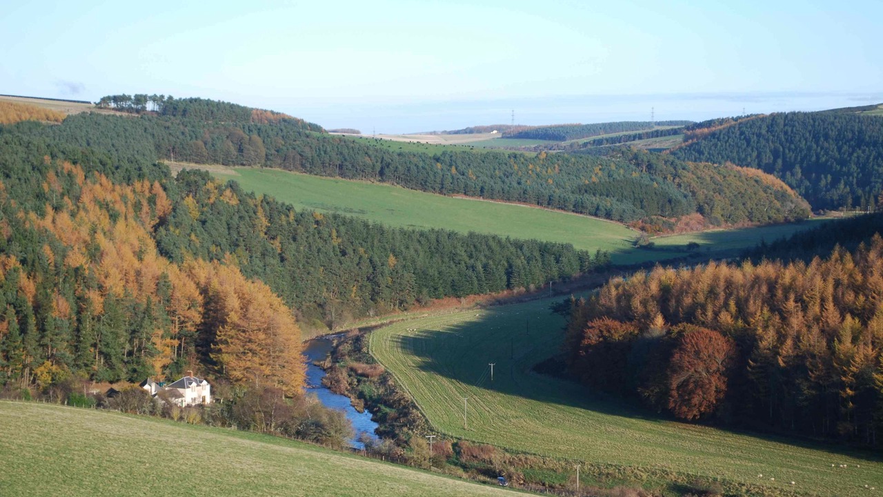 Photo of Others in Ellemford