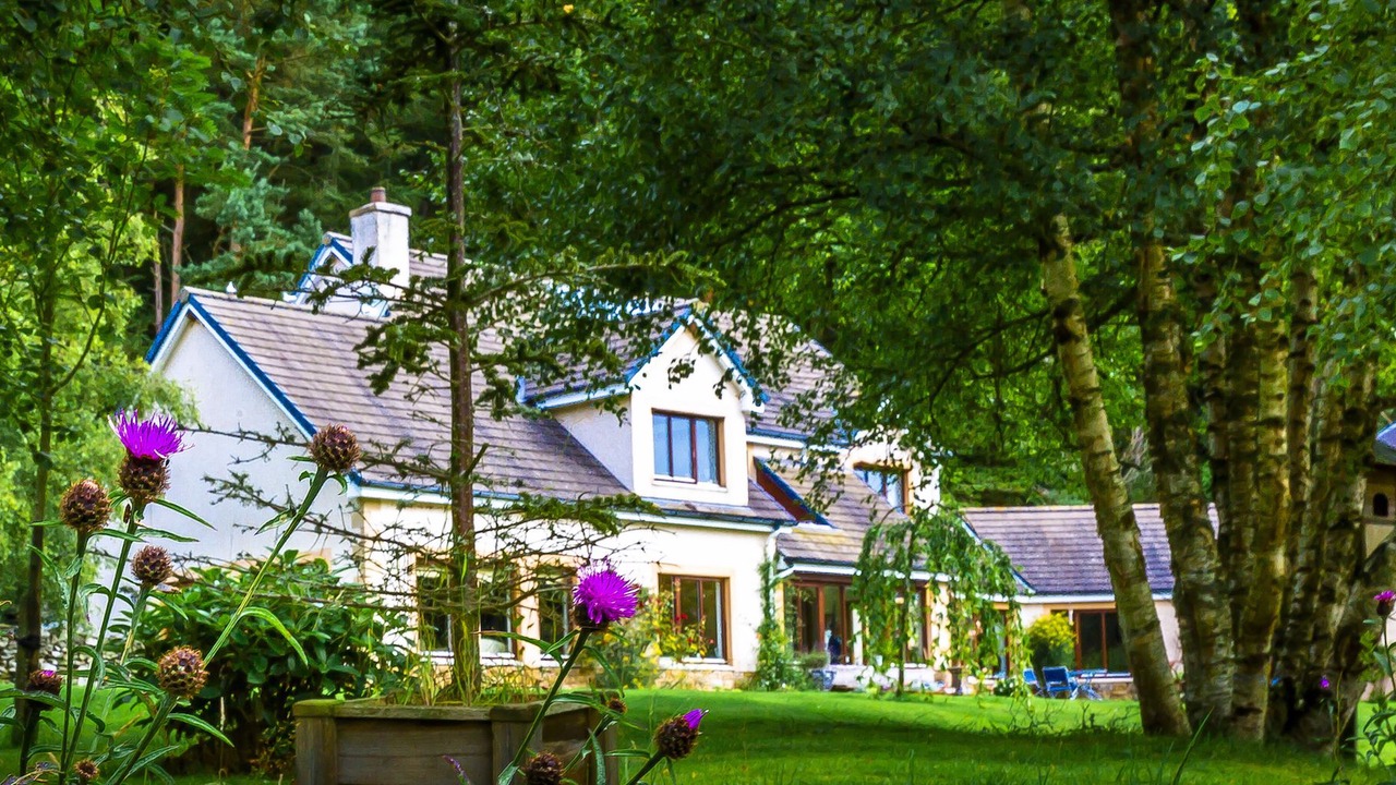 Photo of Outdoor in Ellemford