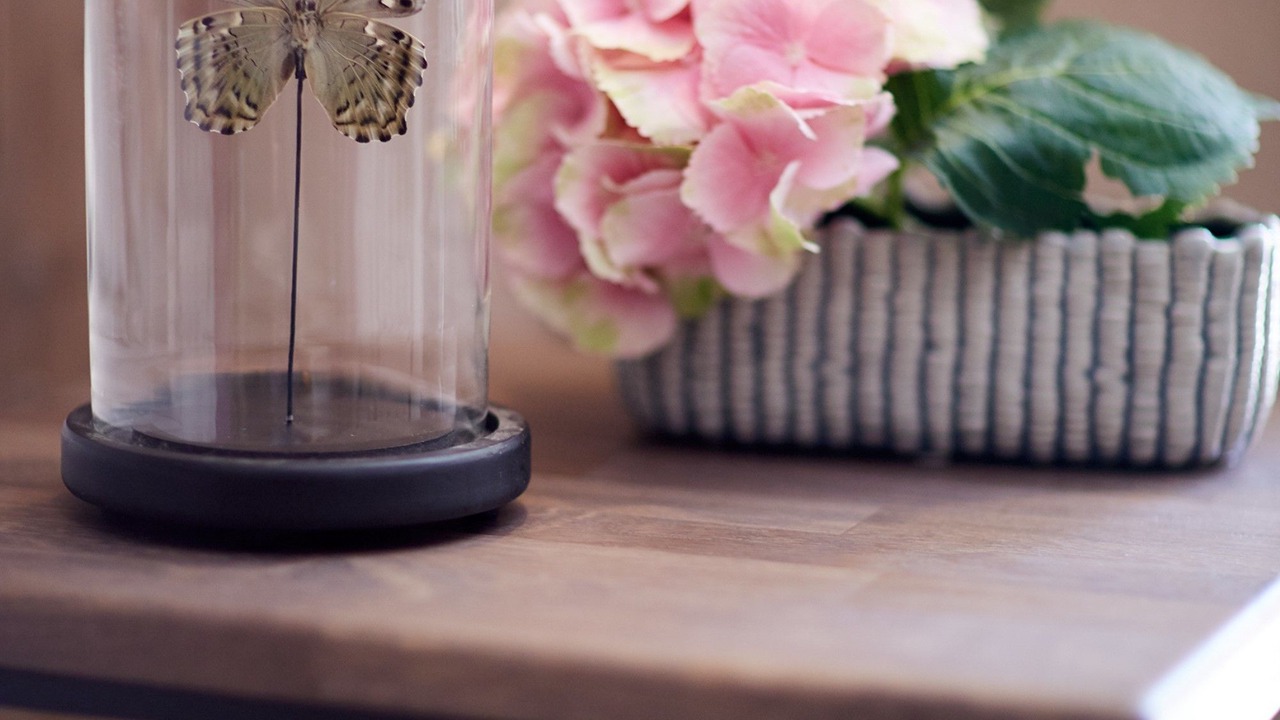 Photo of Others in Dafnata