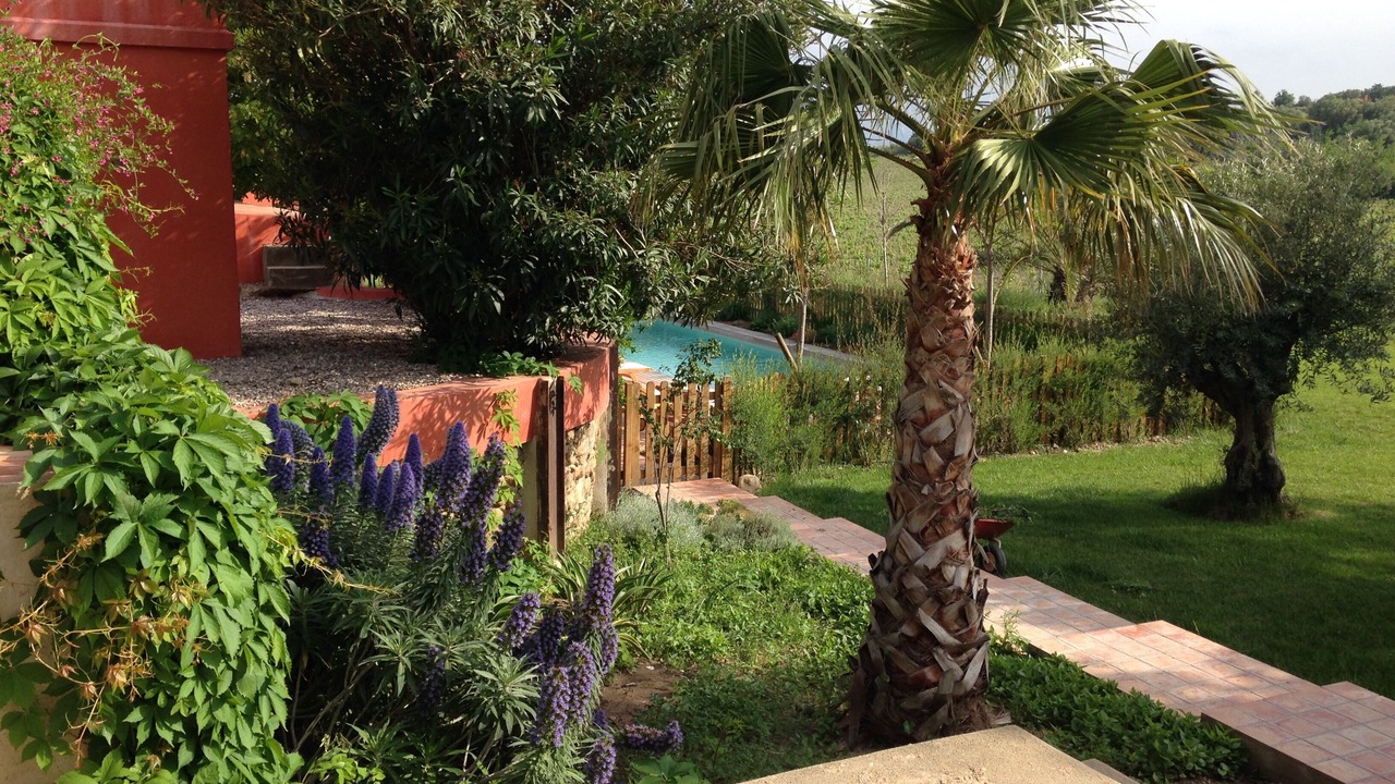 Photo of Outdoor in Ortaffa