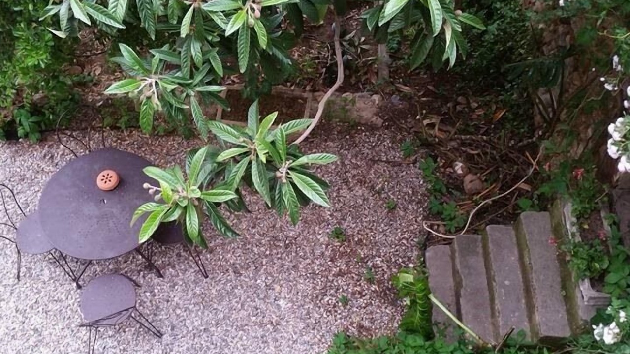 Photo of Outdoor in Ortaffa