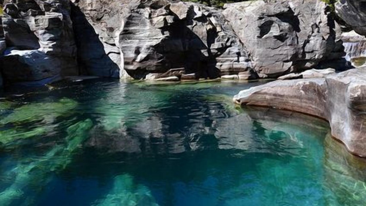 Photo of Others in Woods Bay