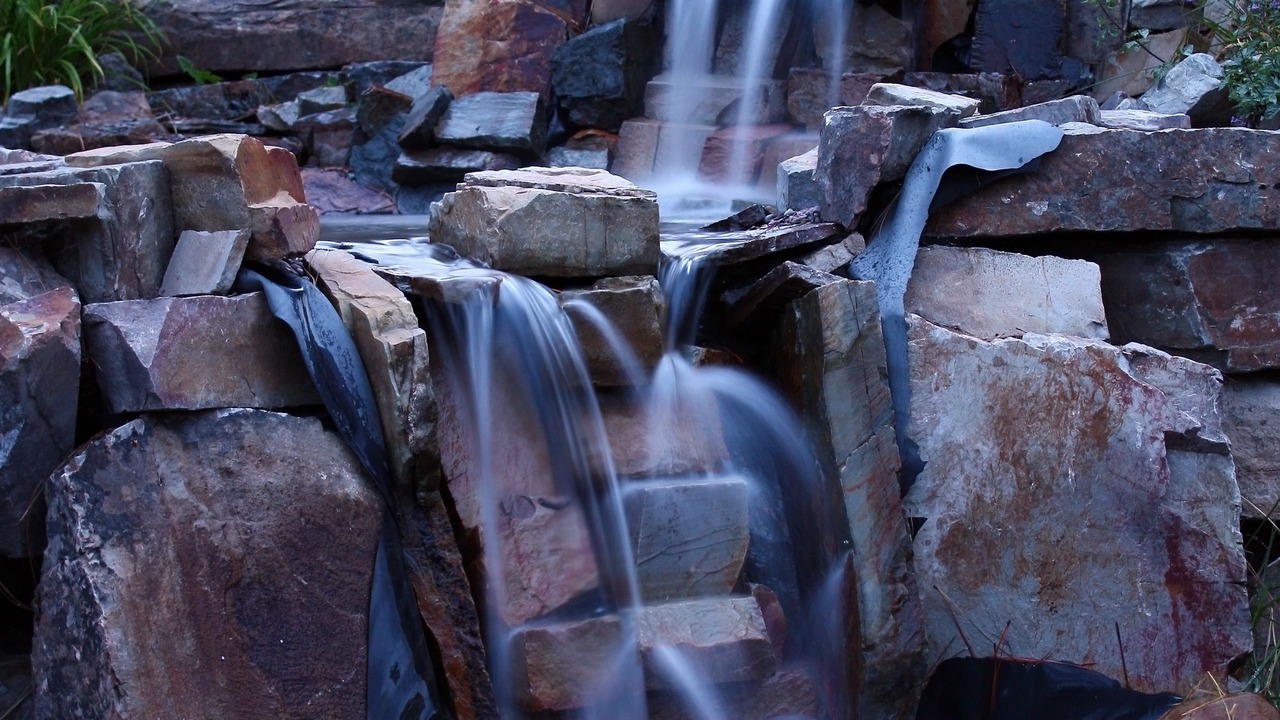 Photo of Outdoor in Woods Bay