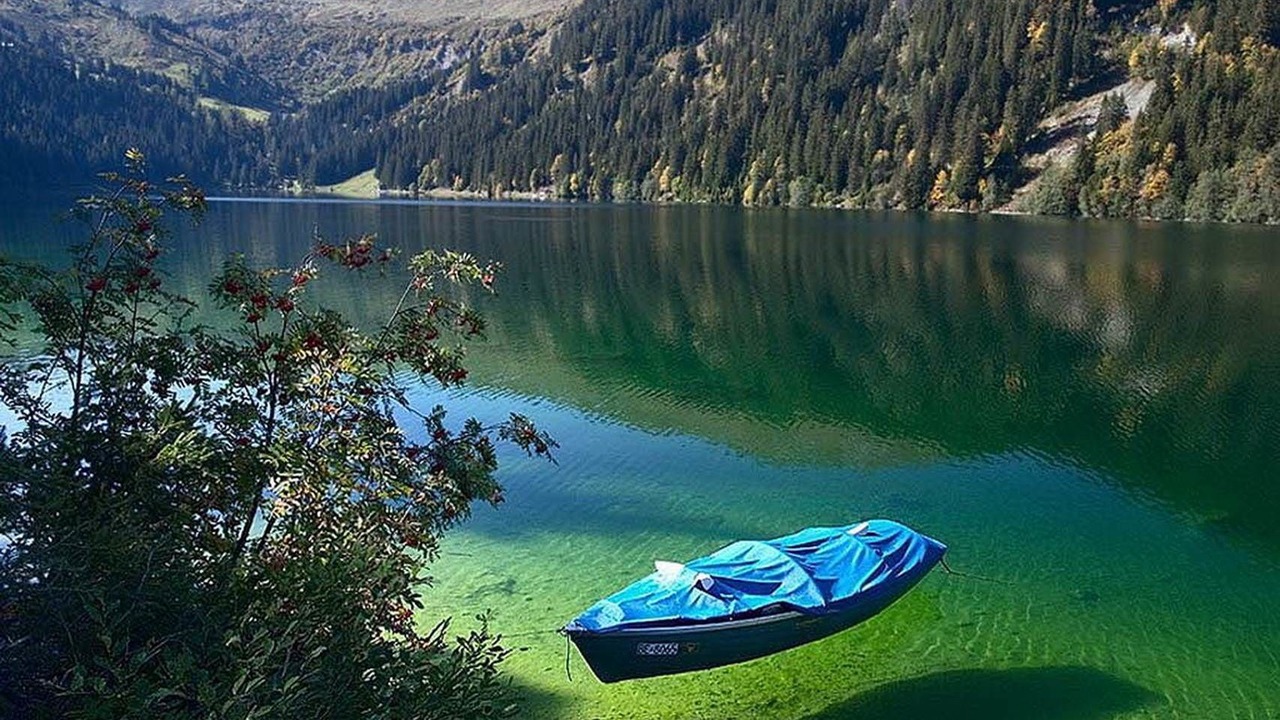 Photo of Others in Woods Bay