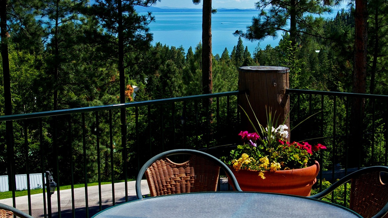 Photo of Others in Woods Bay