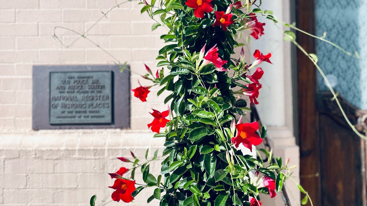 Photo of Outdoor in Treme