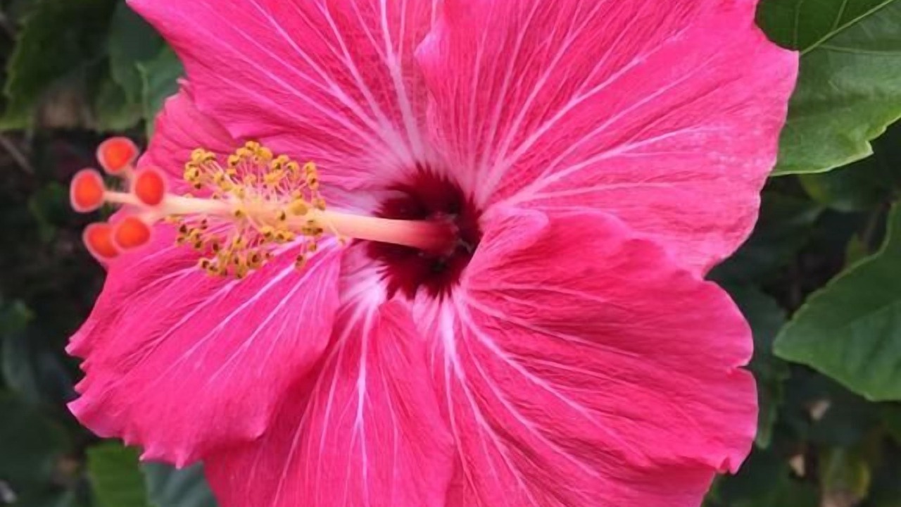 Photo of Outdoor in Indian Beach Sapphire Shores