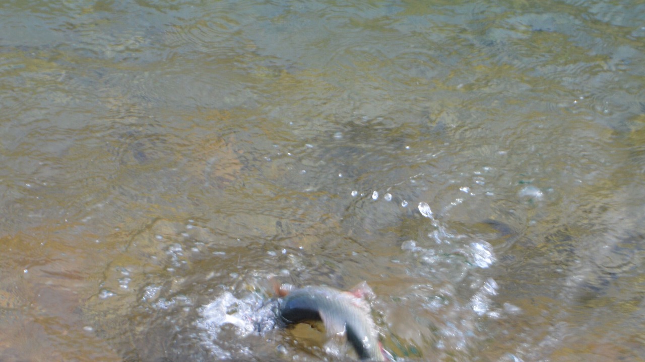 Photo of Others in Arnaud-Guilhem