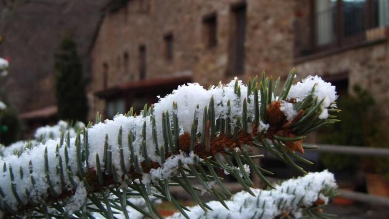 Photo of Outdoor in Planoles