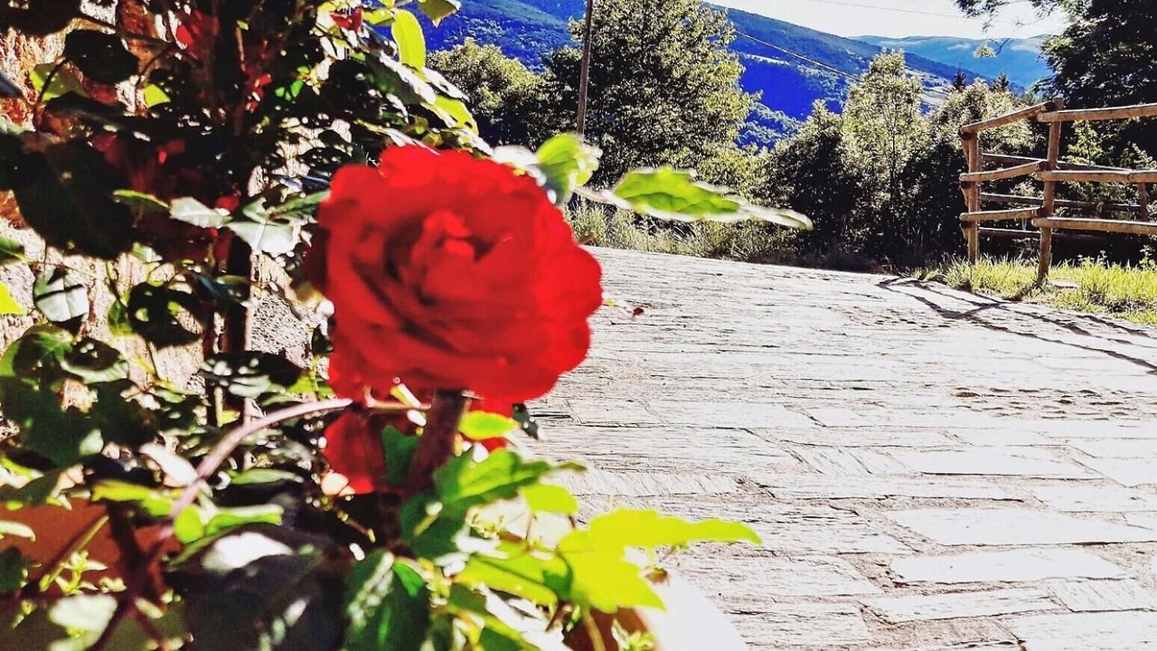 Photo of Outdoor in Planoles