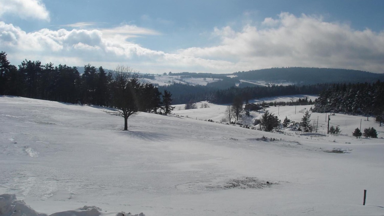 Photo of Others in Saint-Bonnet-le-Froid