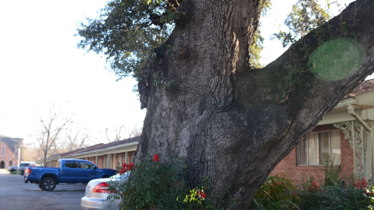 Photo of Outdoor in La Grange