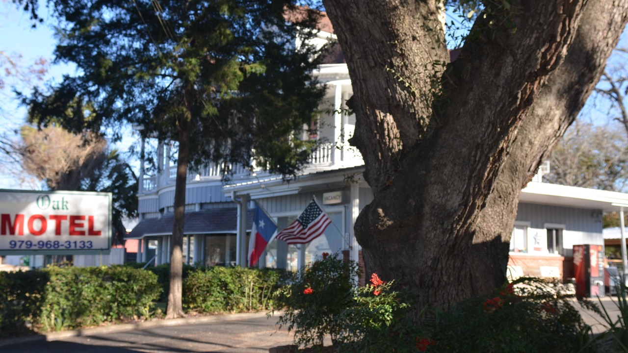 Photo of Others in La Grange