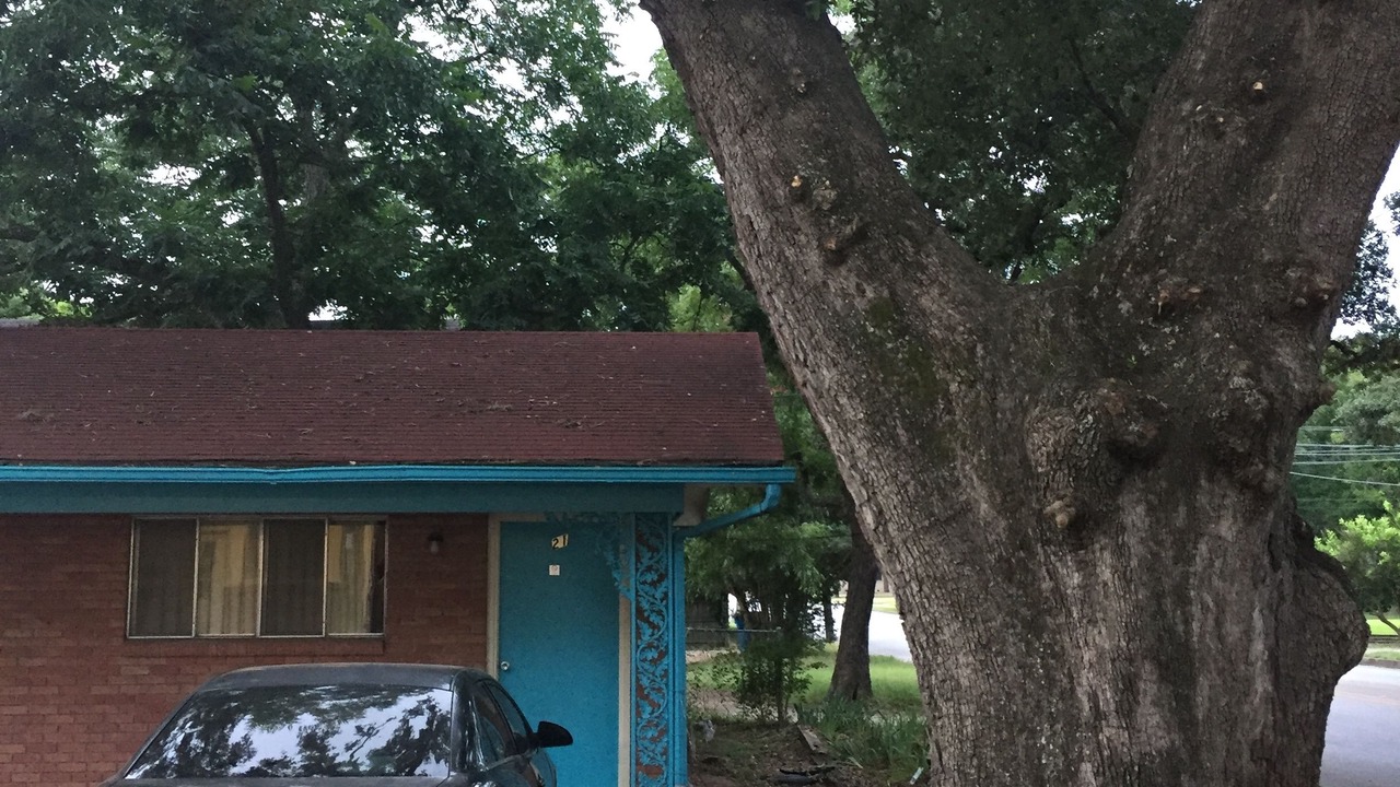Photo of Others in La Grange