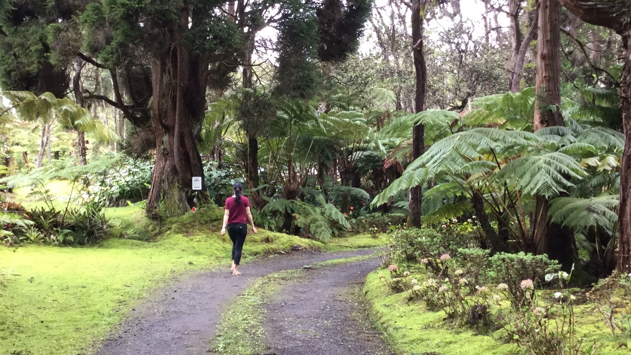 Photo of Outdoor in Volcano