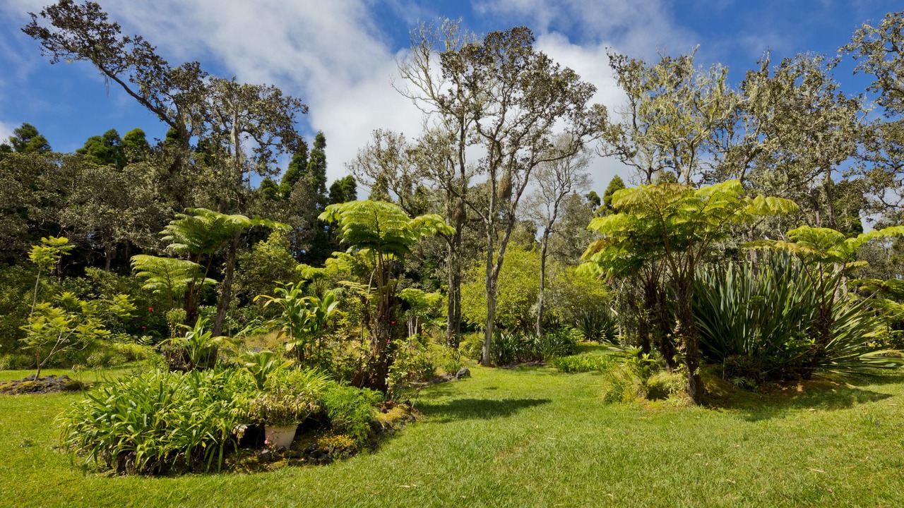Photo of Outdoor in Volcano