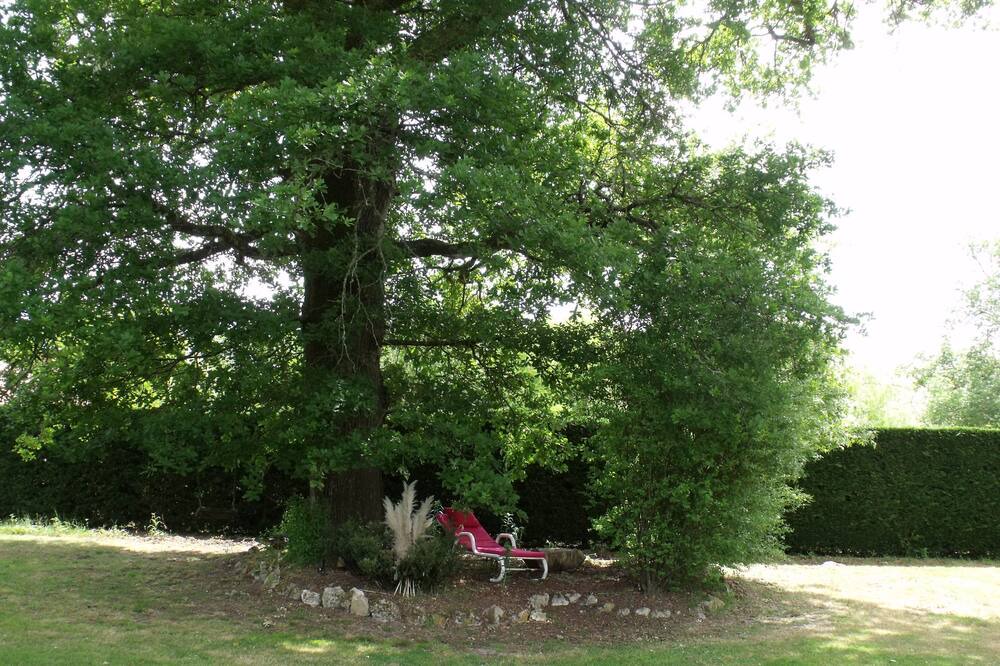 Photo of Outdoor in Saint-Gor