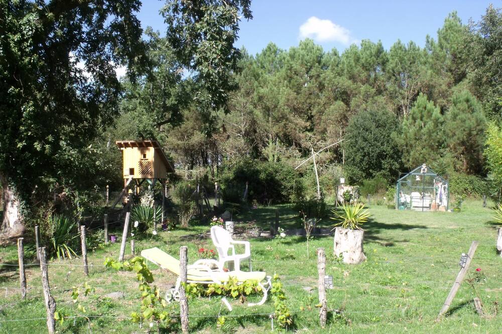 Photo of Outdoor in Saint-Gor