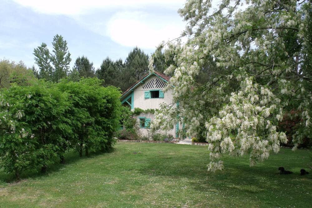 Photo of Outdoor in Saint-Gor