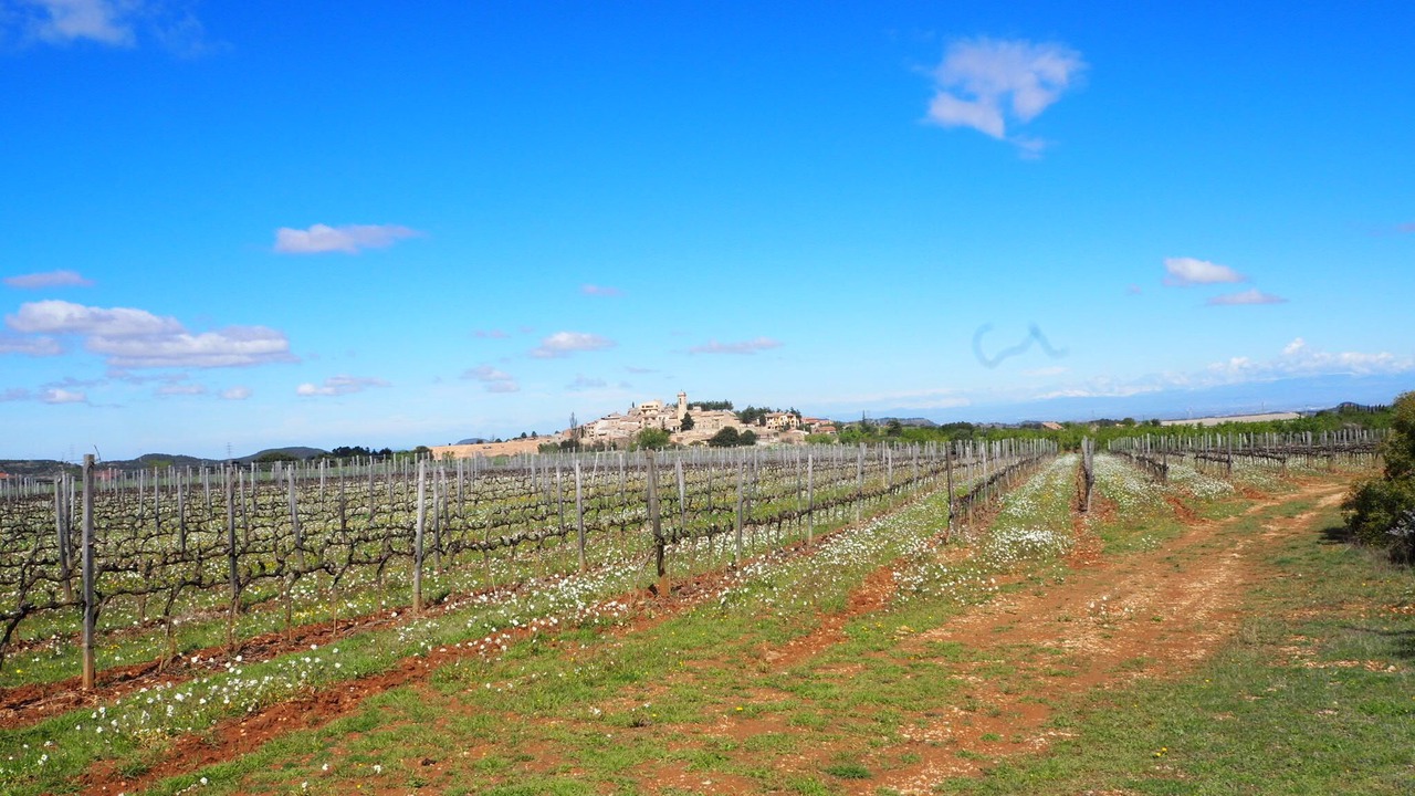 Photo of Outdoor in El Vilosell