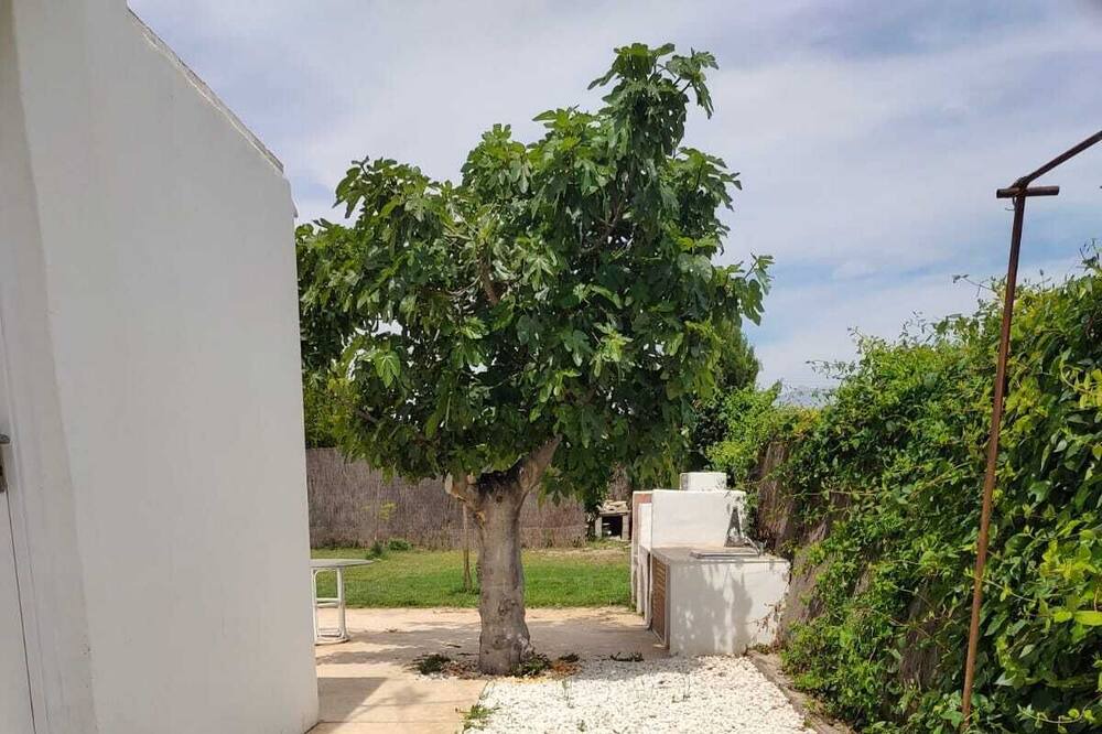 Photo of Outdoor in San Juan de Alicante