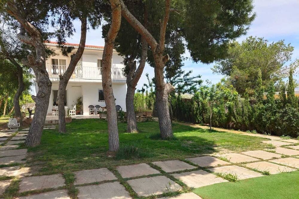 Photo of Outdoor in San Juan de Alicante