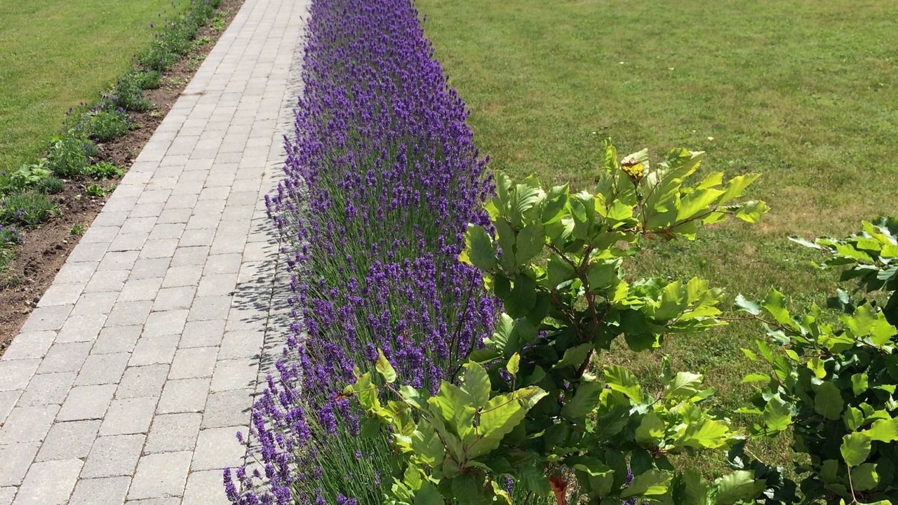 Photo of Outdoor in Langeskov