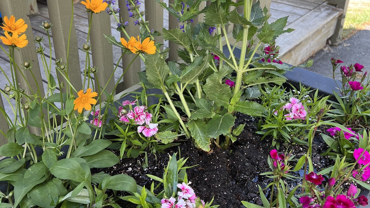 Photo of Others in Greenville Junction