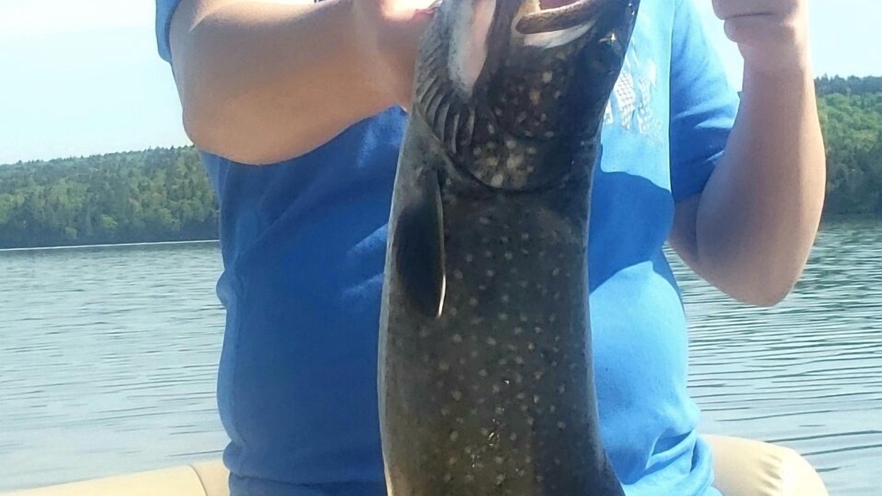 Photo of Others in Greenville Junction