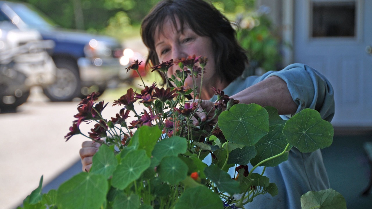 Photo of Others in Greenville Junction