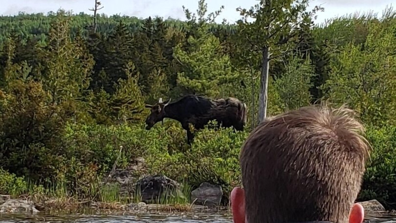 Photo of Others in Greenville Junction