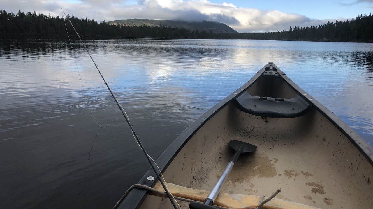 Photo of Bathroom in Greenville Junction