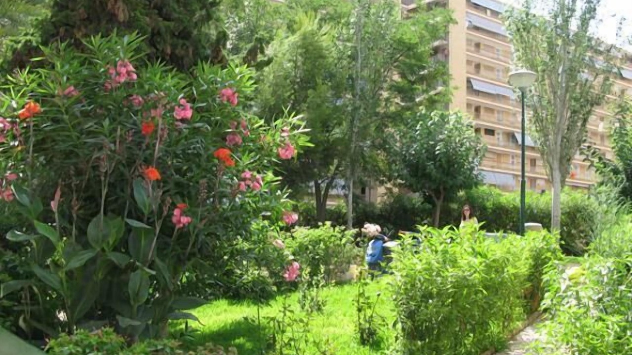 Photo of Outdoor in Playa de San Juan
