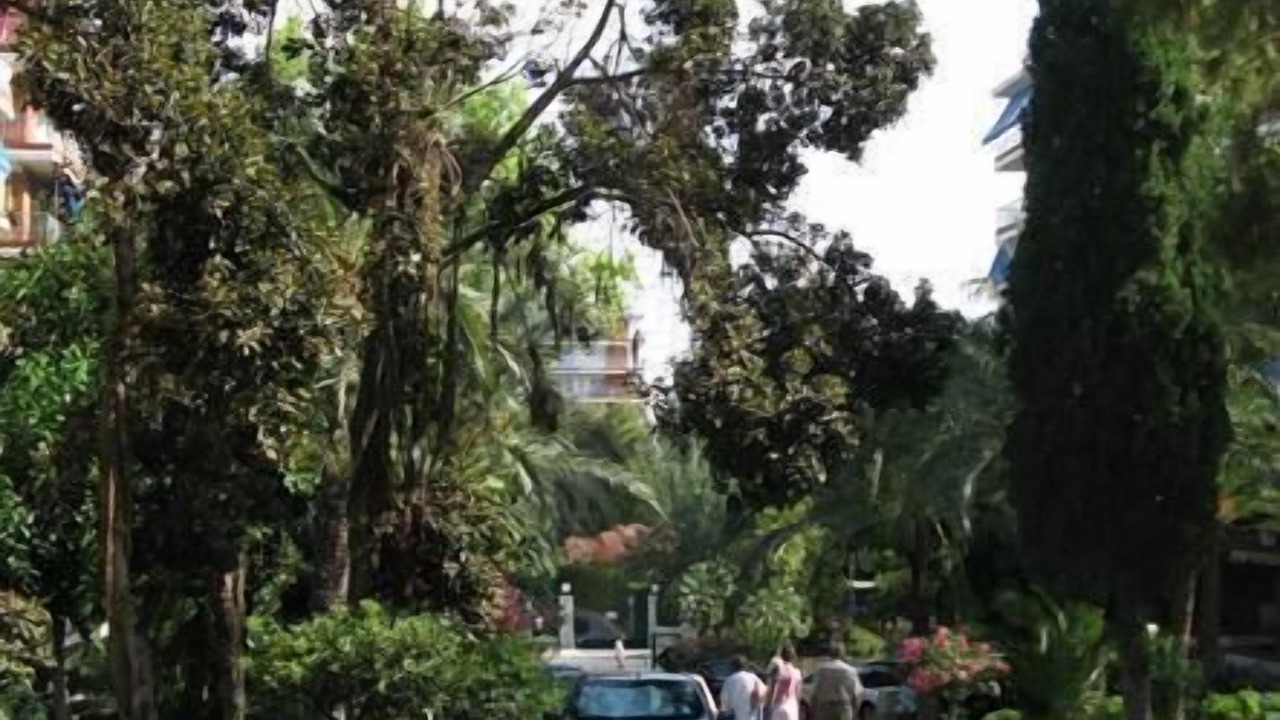 Photo of Outdoor in Playa de San Juan