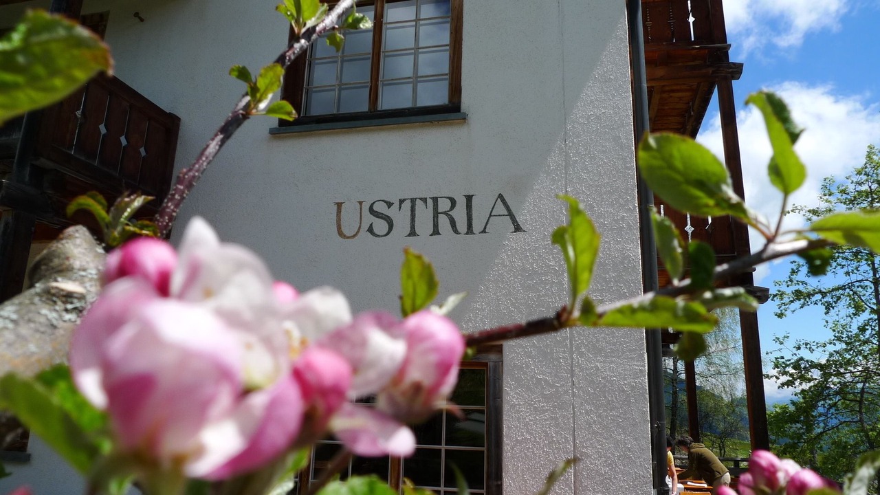 Photo of Outdoor in Tavanasa