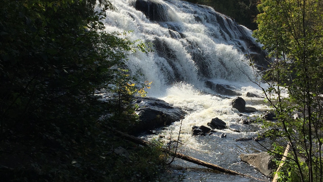 Photo of Others in Michigamme