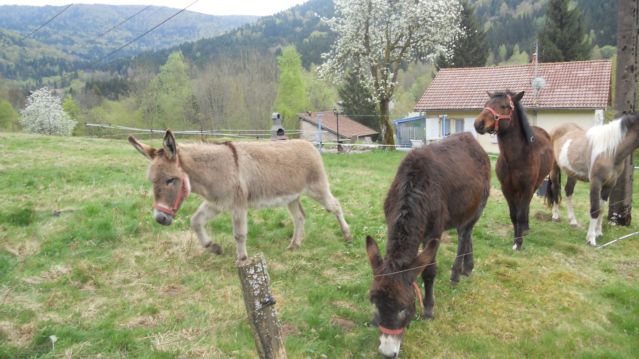 Photo of Outdoor in Miellin
