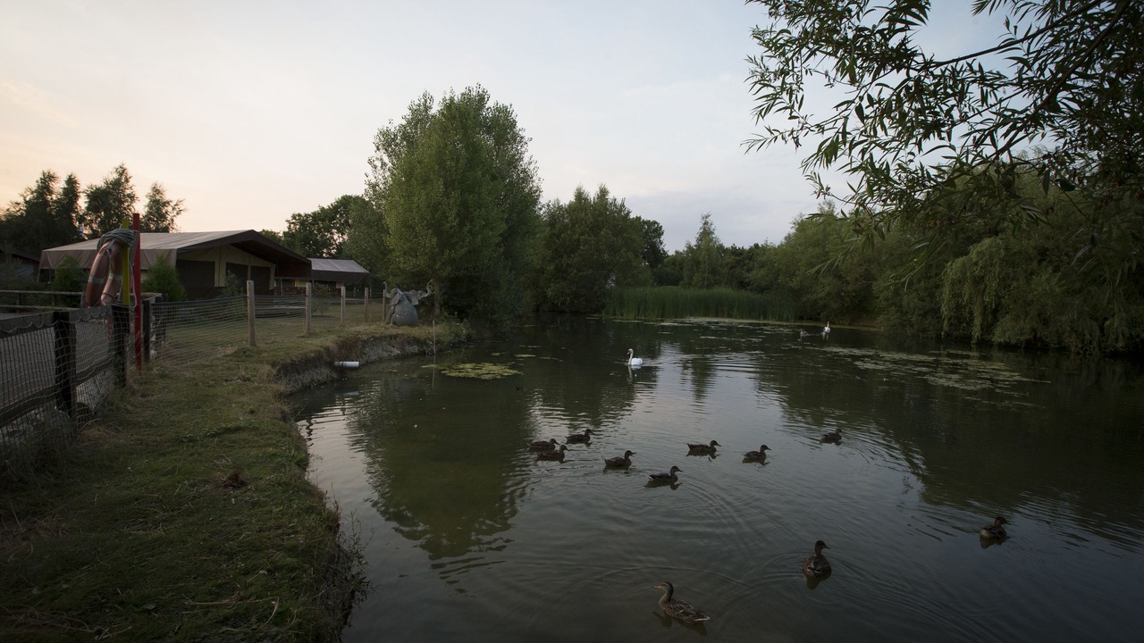 Photo of Others in Willen