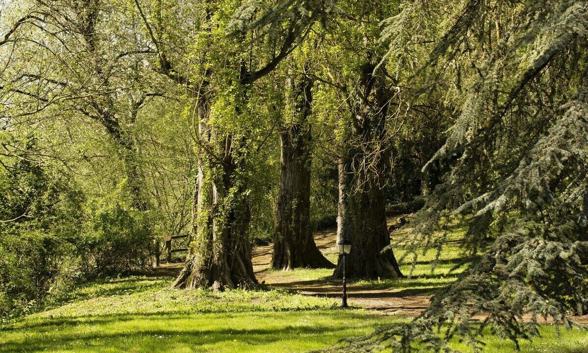 Photo of Outdoor in Sepmes