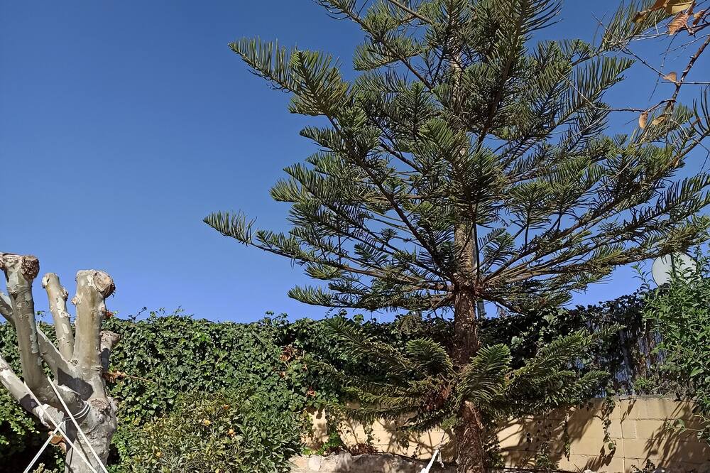 Photo of Outdoor in Hoya de los Patos