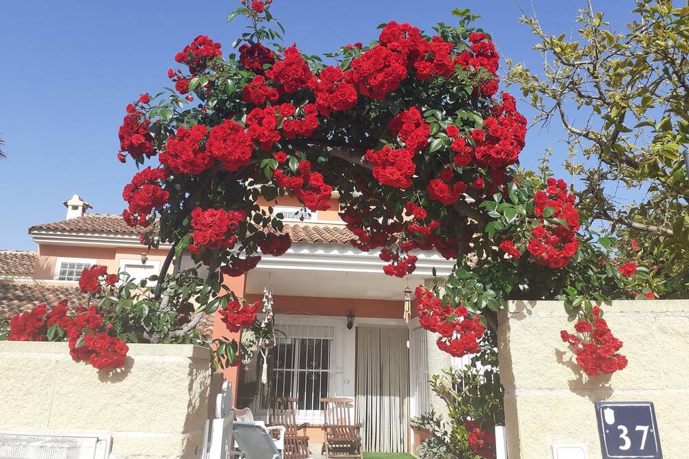 Photo of Outdoor in Hoya de los Patos