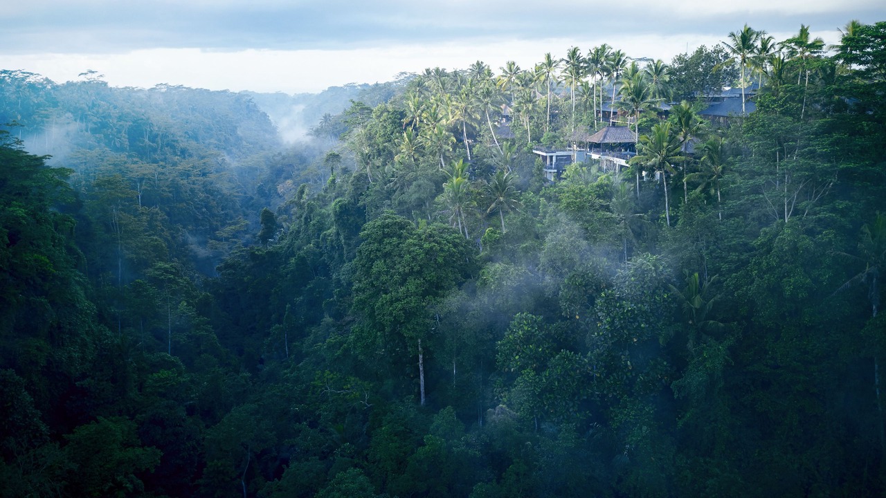 Photo of Outdoor in Melayang