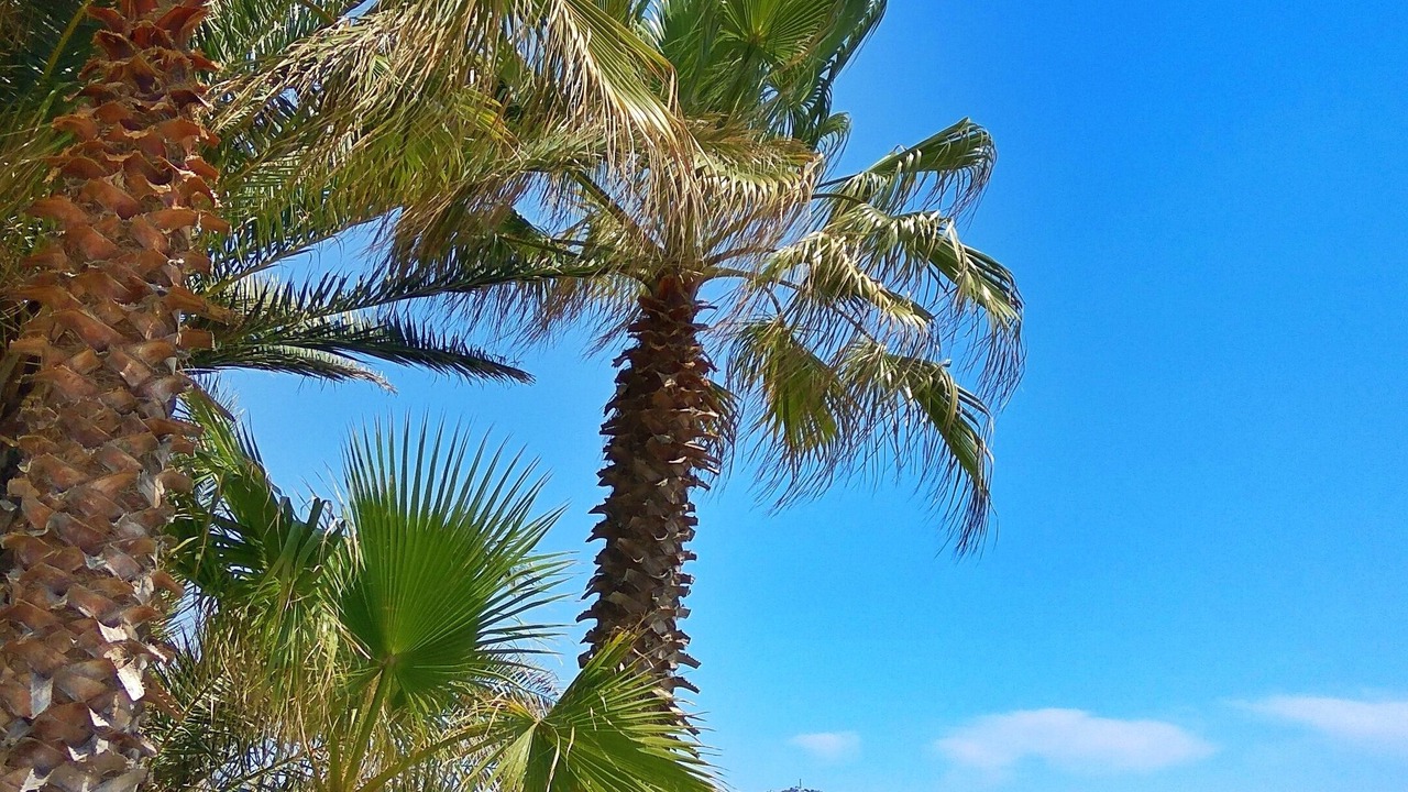 Photo of Outdoor in Almadraba-Canyelles