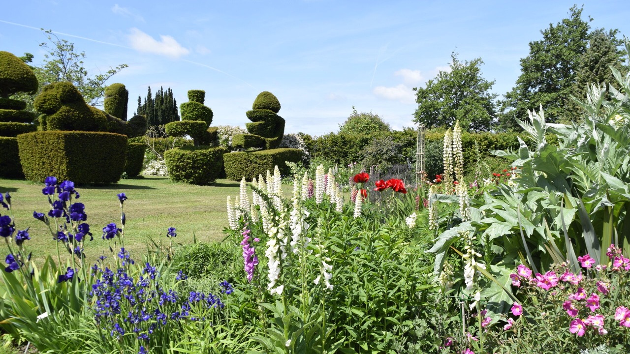 Photo of Outdoor in Faversham